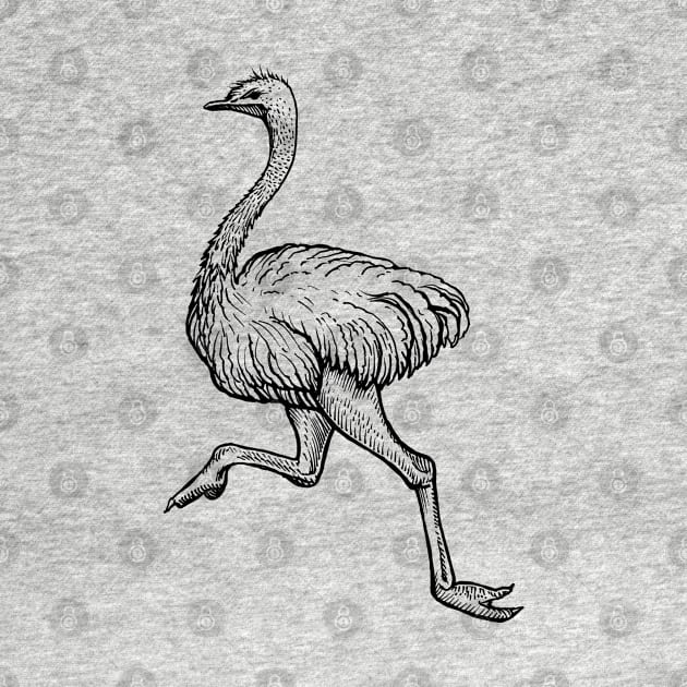 Ostrich Flightless Bird by BadDesignCo